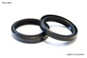 BEARING WORX USZCZELNIACZE PRZEDNIEGO ZAWIESZENIA OLEJOWE ARI117 48X58,2X8,5/10,5 MM (KAYABA) (DC4Y) (55-132)