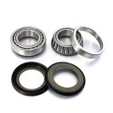 BEARING WORX ŁOŻYSKA GŁÓWKI RAMY Z USZCZELNIACZAMI HUSQVARNA CR 125 99-09, WR 125 08-09, CR 250 99-04, TC 250 03-09, TE 250 / WR