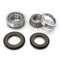 BEARING WORX ŁOŻYSKA GŁÓWKI RAMY Z USZCZELNIACZAMI KAWASAKI KL/KLR 250/600, VN750/800/1500, ZX6/ZX9, ZR7 (22-1009)