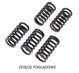 TRW ZF SPRĘŻYNY SPRZĘGŁOWE KAWASAKI KLX 450R '07-'18, KX 450F '06-'11
