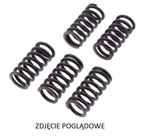 TRW ZF SPRĘŻYNY SPRZĘGŁOWE YAMAHA YZ 250F '05-'07 TRW ZF SPRĘŻYNY SPRZĘGŁOWE YAMAHA YZ 250F '05-'07