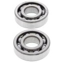 ALL BALLS ŁOŻYSKA WAŁU KORBOWEGO Z USZCZELNIACZAMI HONDA XR250R '84-'96, TRX250X '87-'92, SUZUKI DRZ250 '01-'07, YAMAHA YFM250 R
