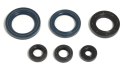 ATHENA KOMPLET (ZESTAW) USZCZELNIACZY SILNIKOWYCH KTM GS125`87-97, EGS125`95-97