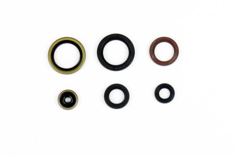 ATHENA KOMPLET (ZESTAW) USZCZELNIACZY SILNIKOWYCH KTM SX125/150`16-21, HUSQVARNA TC125`16-21, TE150`17-21 ATHENA KOMPLET (ZESTAW) USZCZELNIACZY SILNIKOWYCH KTM SX125/150`16-21, HUSQVARNA TC125`16-21, TE150`17-21