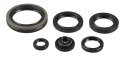 ATHENA KOMPLET (ZESTAW) USZCZELNIACZY SILNIKOWYCH SUZUKI RM 250 96-02