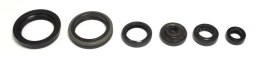 ATHENA KOMPLET (ZESTAW) USZCZELNIACZY SILNIKOWYCH SUZUKI RMZ 450 05-07
