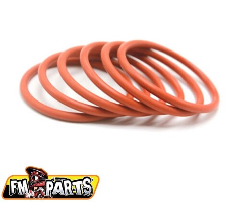FM-PARTS ORINGI DYFUZORA (2 SZTUKI) KTM, HUSQVARNA, BETA RR, BETA XTRAINER / 2T WSZYSTKIE MODELE FM-PARTS ORINGI DYFUZORA (2 SZTUKI) KTM, HUSQVARNA, BETA RR, BETA XTRAINER / 2T WSZYSTKIE MODELE