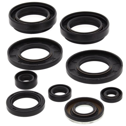 WINDEROSA (VERTEX) KOMPLET (ZESTAW) USZCZELNIACZY SILNIKOWYCH ARCTIC CAT 400 4X4 '98-'00, 454 2X4 '97-'98, 454 4X4 '96-'98, 500 WINDEROSA (VERTEX) KOMPLET (ZESTAW) USZCZELNIACZY SILNIKOWYCH ARCTIC CAT 400 4X4 '98-'00, 454 2X4 '97-'98, 454 4X4 '96-'98, 500