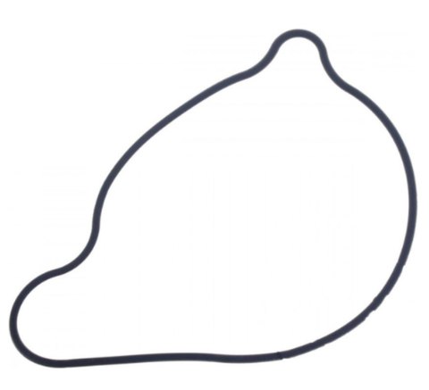 ATHENA USZCZELKA POKRYWY POMPY WODY YAMAHA FZ 750 '85-'94, FZR 750R '87-'92, FZR 1000 GENESIS '87-'95, FZX 750 '87, ATHENA USZCZELKA POKRYWY POMPY WODY YAMAHA FZ 750 '85-'94, FZR 750R '87-'92, FZR 1000 GENESIS '87-'95, FZX 750 '87,