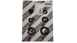 BEARING WORX KOMPLET (ZESTAW) USZCZELNIACZY SILNIKOWYCH SUZUKI RMZ 250 '07-'15 (822329)