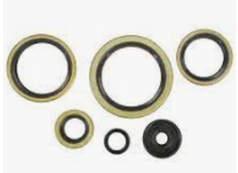 WINDEROSA (VERTEX) KOMPLET (ZESTAW) USZCZELNIACZY SILNIKOWYCH KTM EXC 300 94-03, EXC 360 96-97, EXC 380 98-02, MXC 300 94-03, MX WINDEROSA (VERTEX) KOMPLET (ZESTAW) USZCZELNIACZY SILNIKOWYCH KTM EXC 300 94-03, EXC 360 96-97, EXC 380 98-02, MXC 300 94-03, MX