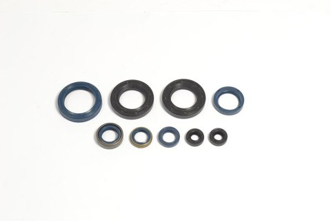ATHENA KOMPLET (ZESTAW) USZCZELNIACZY SILNIKOWYCH HUSQVARNA CR/WR 250 89-91, WR 260 89-93 ATHENA KOMPLET (ZESTAW) USZCZELNIACZY SILNIKOWYCH HUSQVARNA CR/WR 250 89-91, WR 260 89-93