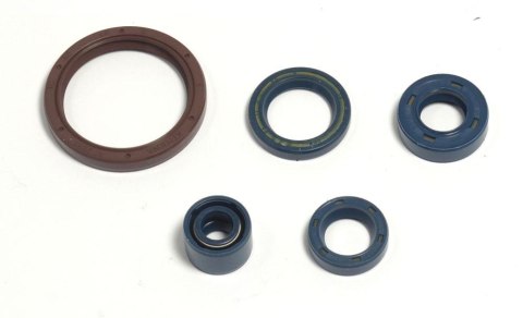 ATHENA KOMPLET (ZESTAW) USZCZELNIACZY SILNIKOWYCH HUSQVARNA TE 250 03-09, TE 310 09-10, TE 450/510 03-10, TC 250/310/450 ATHENA KOMPLET (ZESTAW) USZCZELNIACZY SILNIKOWYCH HUSQVARNA TE 250 03-09, TE 310 09-10, TE 450/510 03-10, TC 250/310/450