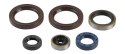 ATHENA KOMPLET (ZESTAW) USZCZELNIACZY SILNIKOWYCH KTM SX 125/144/150/200 98-15, EXC 125/200 98-16