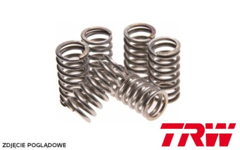 TRW ZF SPRĘŻYNY SPRZĘGŁOWE HONDA REBEL CA 125 95-00, CITYFLY CLR 125 98-99, XLR 125 R 98-99 (EBS009) (PROMOCJA) TRW ZF SPRĘŻYNY SPRZĘGŁOWE HONDA REBEL CA 125 95-00, CITYFLY CLR 125 98-99, XLR 125 R 98-99 (EBS009) (PROMOCJA)
