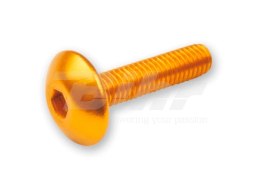 V PARTS (VICMA) ZESTAW ŚRUB OWIEWKI M5X20 (6SZT.) KOLOR ZŁOTY (TA520OR)