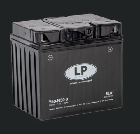 LANDPORT AKUMULATOR Y60-N30-3 (MS L60-N30-3) 12V 30AH (179X125X166MM) (300A) SLA BEZOBSŁUGOWY - ZALANY (2) LANDPORT AKUMULATOR Y60-N30-3 (MS L60-N30-3) 12V 30AH (179X125X166MM) (300A) SLA BEZOBSŁUGOWY - ZALANY (2)