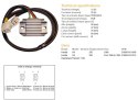 DZE REGULATOR NAPIĘCIA HONDA NX 250 '88-'93 (31600-KW3-000, 31600-KW3-010)
