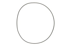 ATHENA 2026/01 USZCZELKA POKRYWY SPRZĘGŁA (ZEWNĘTRZNA) (O-RING NBR) (164,70 X 169,94 X 2,62MM) HUSQVARNA SMR / TC 310 '09-'10, S