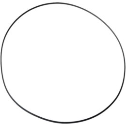 ATHENA 2026/01 USZCZELKA POKRYWY SPRZĘGŁA (ZEWNĘTRZNA) (O-RING NBR) (200 X 206 X 3MM) POLARIS (OEM: 5412458)