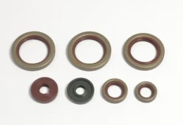 ATHENA 2026/09 KOMPLET USZCZELNIACZY OLEJOWYCH SILNIKA KTM 690 DUKE / R '08-'15, 690 ENDURO / R '08-'18, SMC 690 / R '08-'17, 69