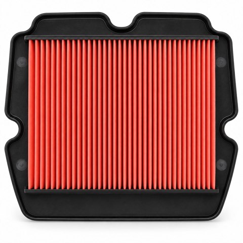 BIKETEC FILTR POWIETRZA HONDA GL 1800 '01-'17, GL 1800B F6B '13-'16 , F6C '14-'16 (12-90050) (H1209)