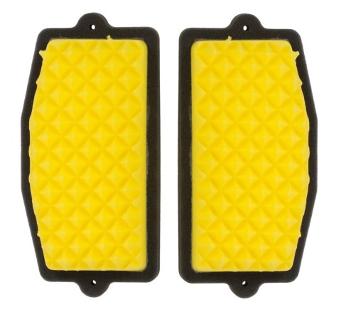 FUNNELWEB FILTERS PROMOCJA FILTR POWIETRZA PROLINE (AIR FILTER KIT) BMW GS 1300 ADVENTURE '24-'26