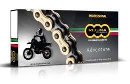 REGINA ŁAŃCUCH NAPĘDOWY 520ZRE (114 OGNIW) Z-RING ENDURO DO 650CCM (ZŁOTY) (ZAPINKA+ZAKUWKA PEŁNA+ ZAKUWKA DRĄŻONA) (135ZRE/1005