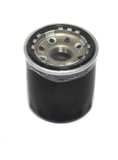 ATHENA FILTR OLEJU HONDA/ KAWASAKI/ POLARIS/ YAMAHA (HF303) ATHENA FILTR OLEJU HONDA/ KAWASAKI/ POLARIS/ YAMAHA (HF303)