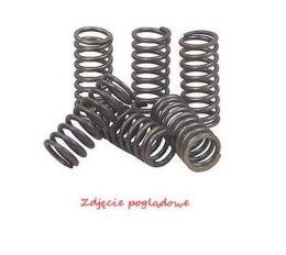 PSYCHIC SPRĘŻYNY SPRZĘGŁOWE KAWASAKI KLX 450R '08-'12, KX 450F '06-'11