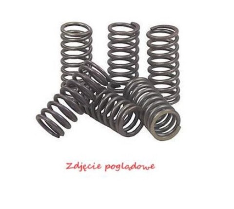 PSYCHIC SPRĘŻYNY SPRZĘGŁOWE KAWASAKI KLX 450R '08-'12, KX 450F '06-'11 PSYCHIC SPRĘŻYNY SPRZĘGŁOWE KAWASAKI KLX 450R '08-'12, KX 450F '06-'11